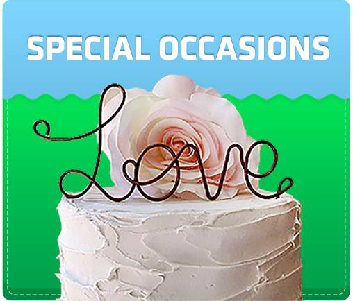 Special Occasions
